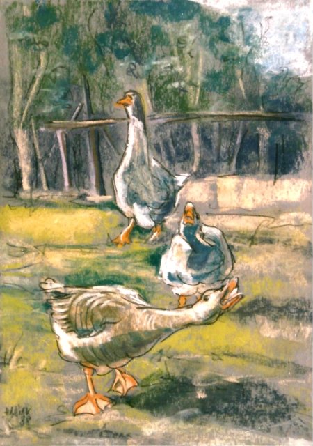 Gänse attacke 1988